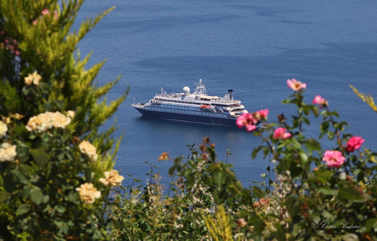 Anemi Studios Skopelos stad Exteriör bild